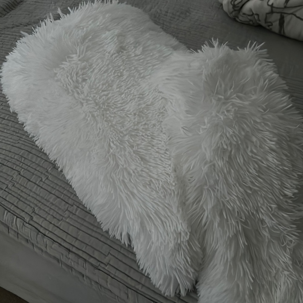 PotteryBarn Dorm twin duvet cover & Sham